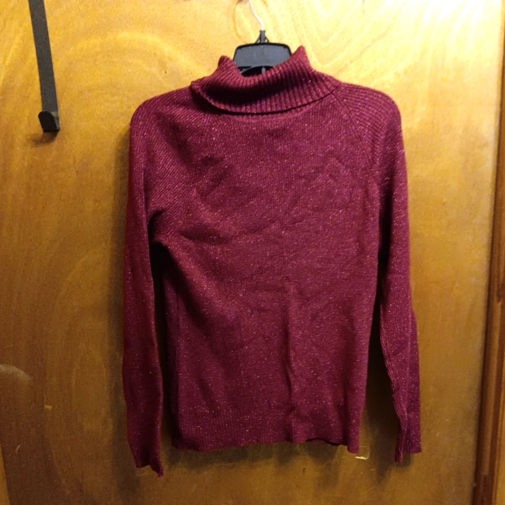 Raisey Red Cowl Neck Sweater with Classic Knit Design